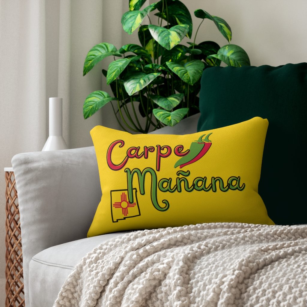carpe mañana lumbar pillow on sofa