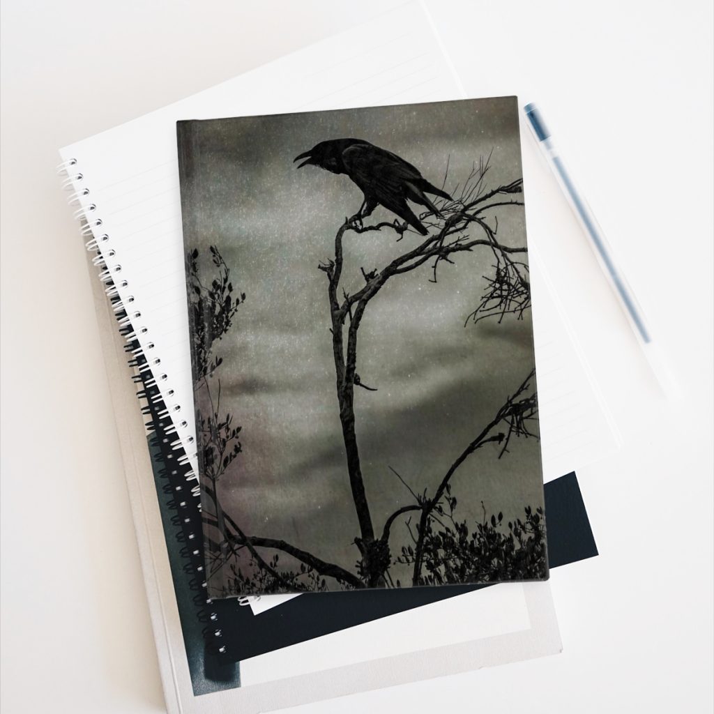 mysterious raven hardcover journal on stack of books