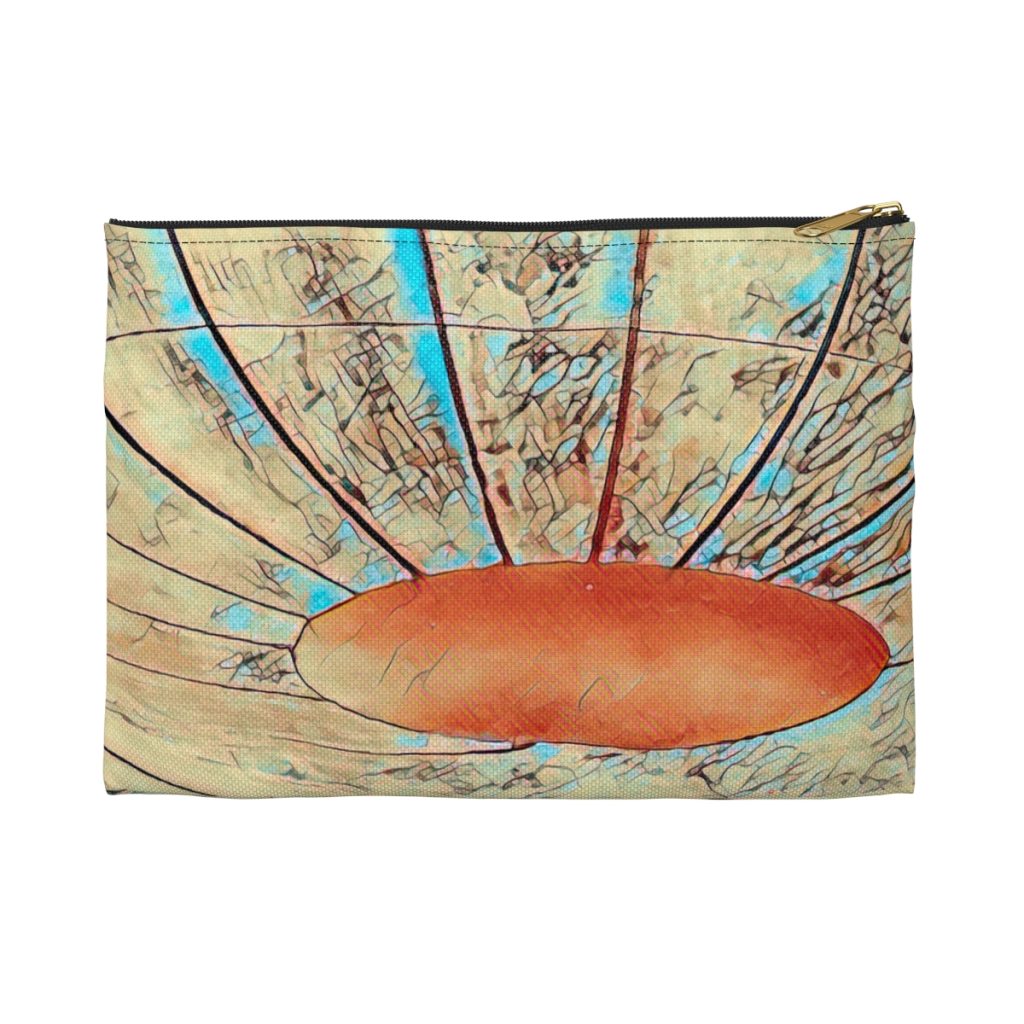 solar wind pouch front view