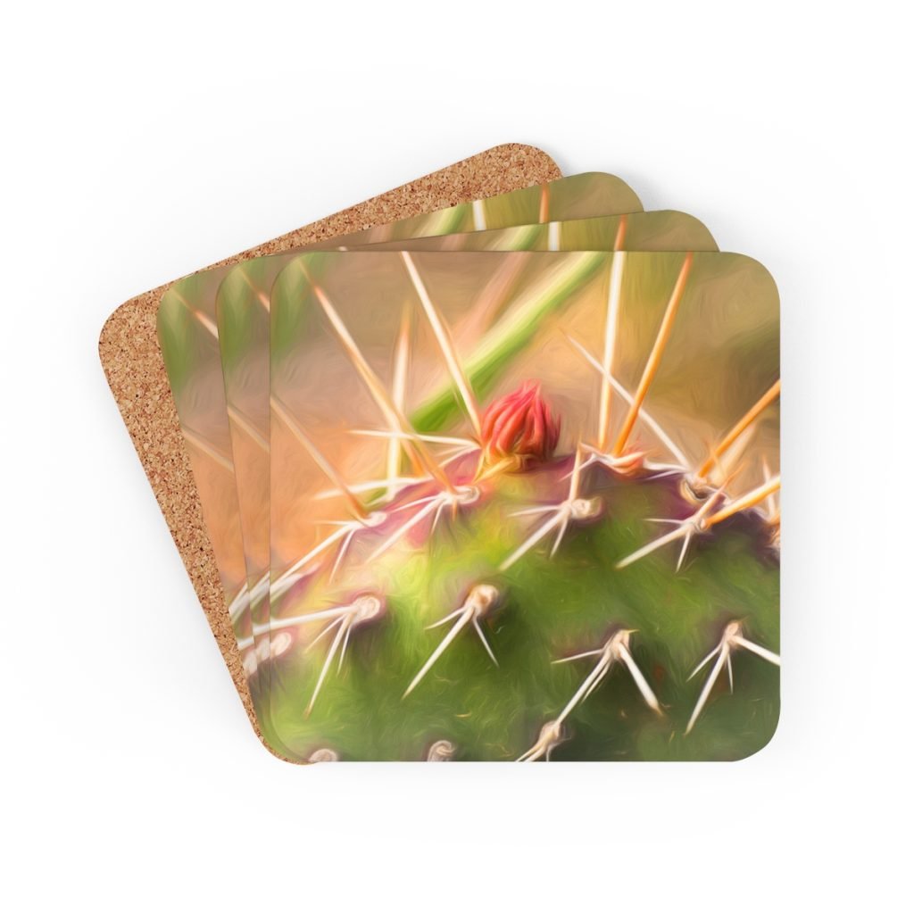 cactus bud-coaster set-fanned.jpg - Val Weston Photographic Art cactus bud coaster set