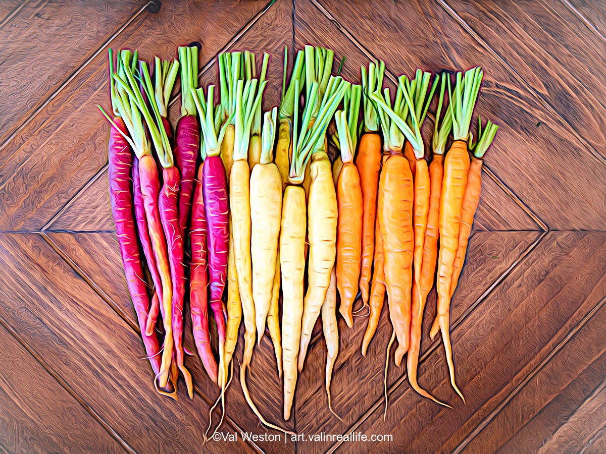 Colorful Carrots