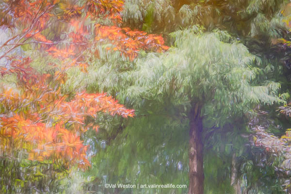 Autumn Reflections