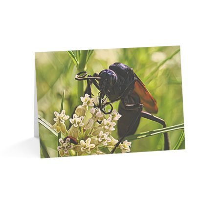 Gila Halcón Greeting Cards