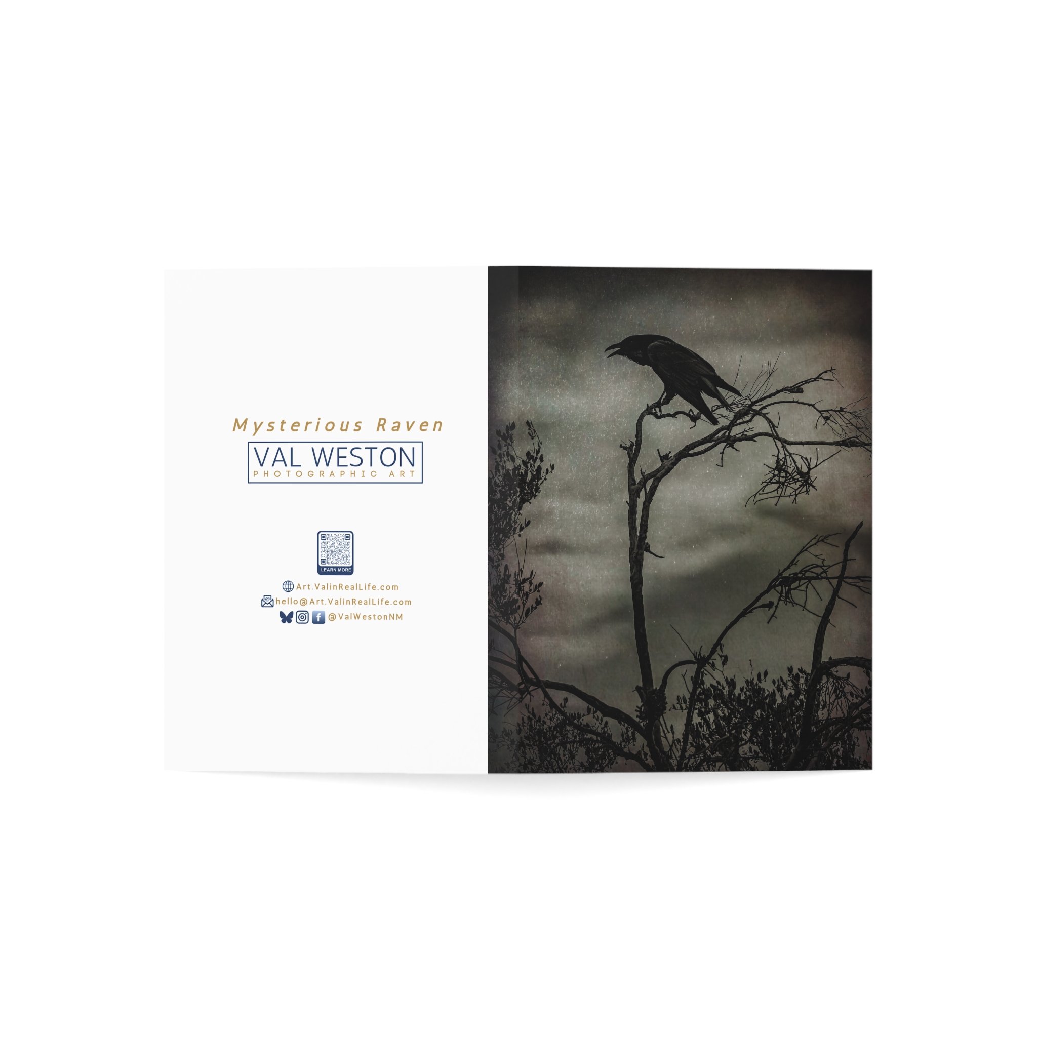 Mysterious Raven-greeting card-open cover - Val Weston Photographic Art Mysterious Raven greeting card open cover
