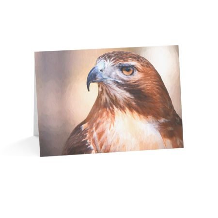 Red-tailed Hawk Greeting Cards
