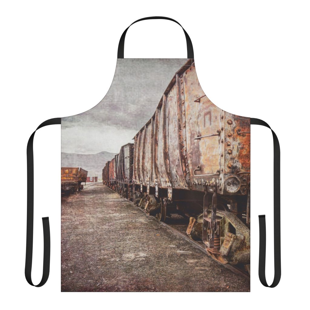 Abandoned Railcars apron front view