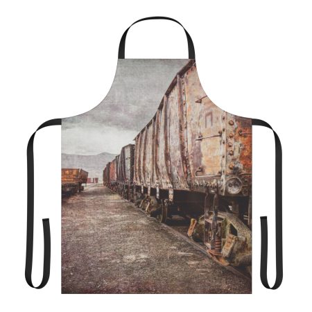 Abandoned Railcars apron front view