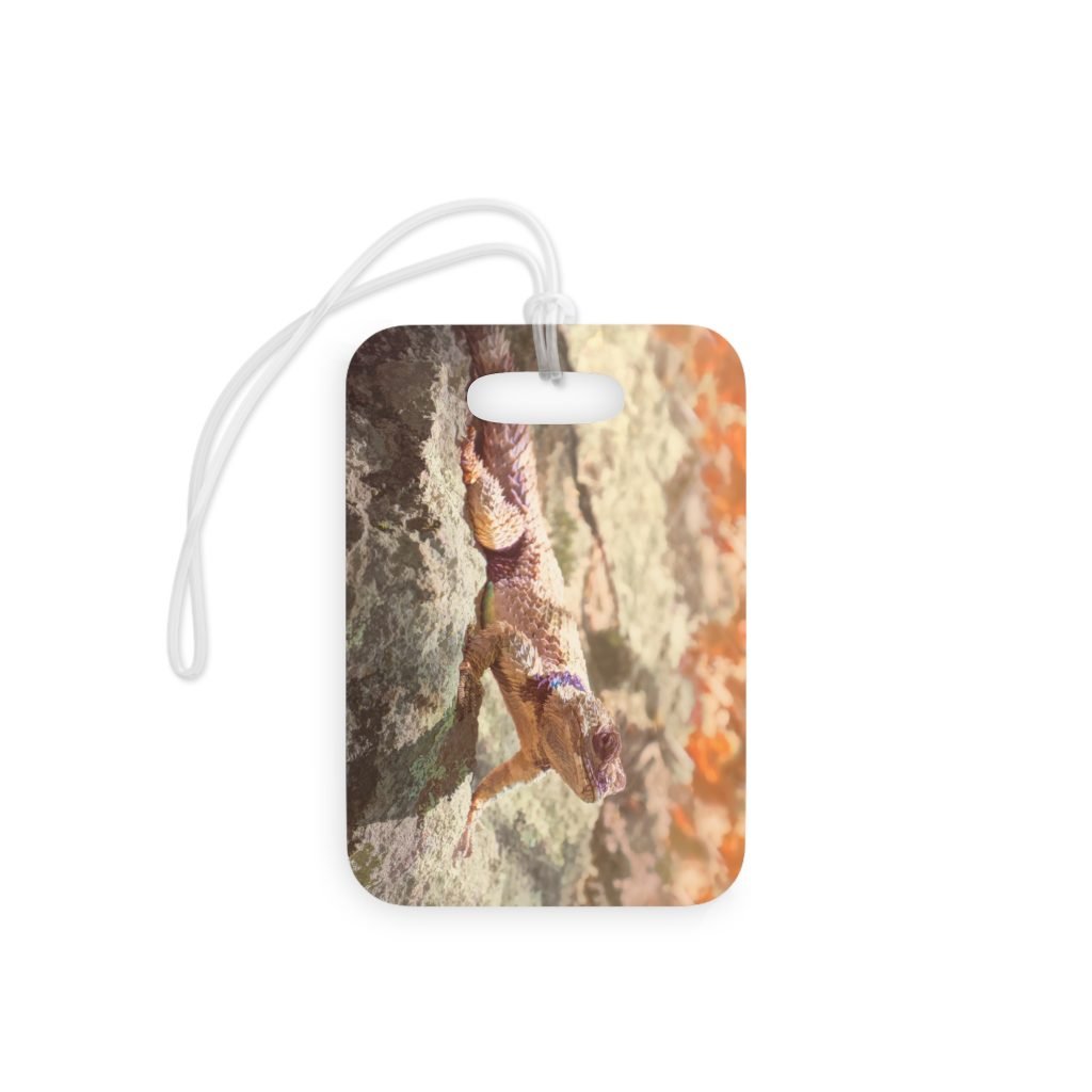 Rounded square photo of a coral reef with beige and orange tones, overlaid by a white cord loop.