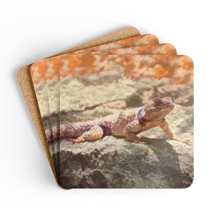 Overlapping rounded photo cards showing a desert scene with a gecko on rocky ground.